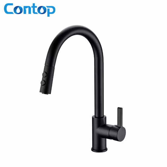 Robinet de lavabo monotrou en chrome poli à alimentation directe d'usine Robinets d'eau rétractables montés sur le pont Mitigeur en laiton