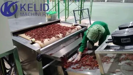 Équipement industriel de machine de séchage de stérilisation de micro-onde de poudre de curcuma d'épice
